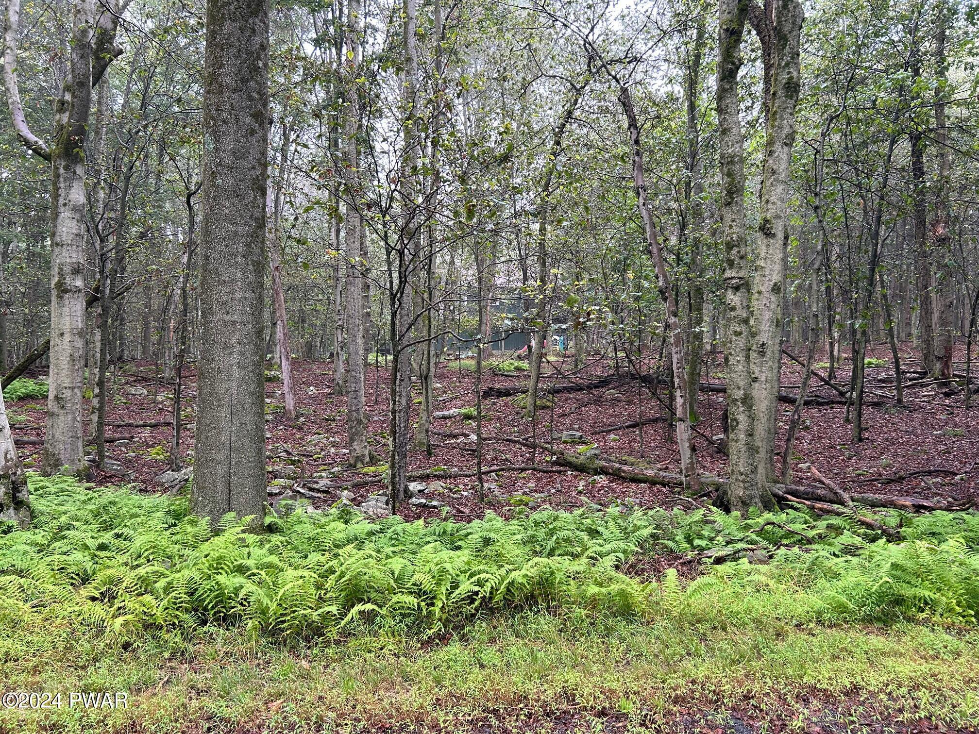 Lot 26 Raintree, Newfoundland, Unimproved Land,  for sale, Al Ryan, Berkshire Hathaway HomeServices Pocono Real Estate