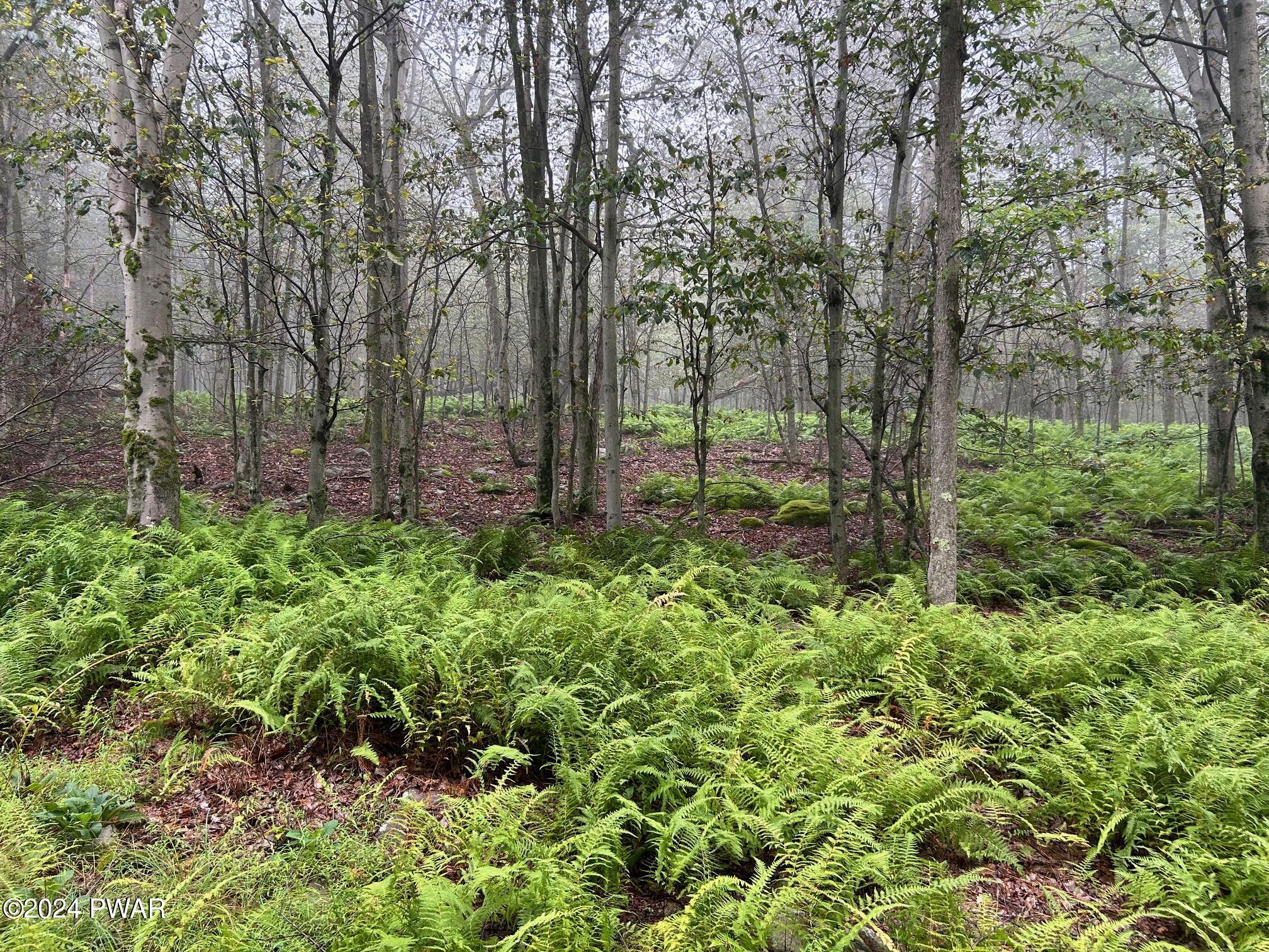 Lot 67 Emerald, Gouldsboro, Unimproved Land,  for sale, Al Ryan, Berkshire Hathaway HomeServices Pocono Real Estate